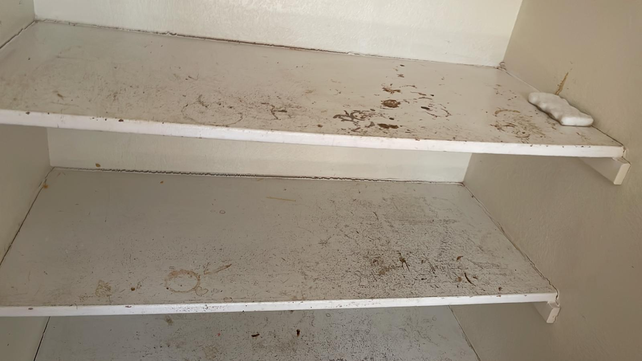 Nidia's Cleaning Services project